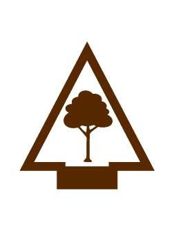 Into the Woods Arrow of Light adventure belt loop