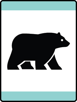 Bear Habitat Bear adventure belt loop
