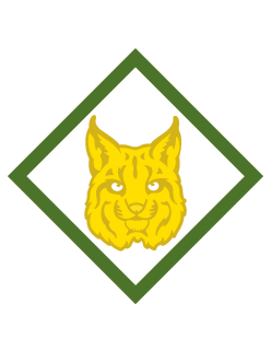 Bobcat Webelos Webelos adventure belt loop