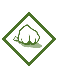 Earth Rocks Webelos adventure belt loop