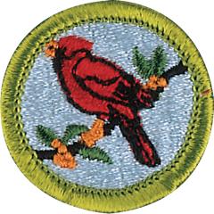 Bird Study Merit Badge