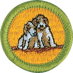 Dog Care Merit Badge