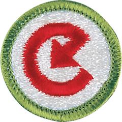 Energy Merit Badge