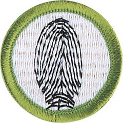 Fingerprinting Merit Badge