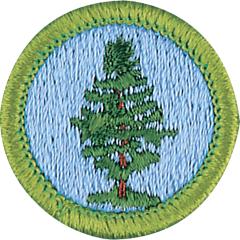 Forestry Merit Badge