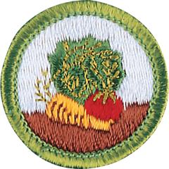 Gardening Merit Badge