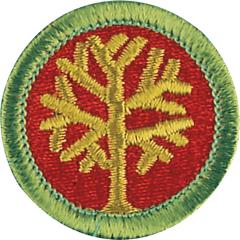 Genealogy Merit Badge