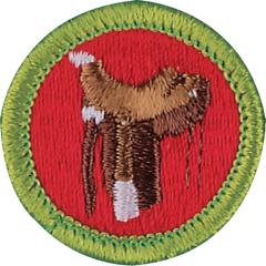 Horsemanship Merit Badge