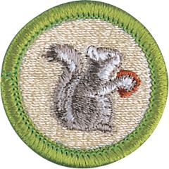 Mammal Study Merit Badge