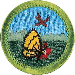 Nature Merit Badge