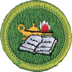 Reading Merit Badge