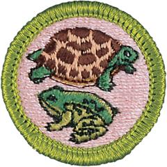 Reptile and Amphibian Study Merit Badge