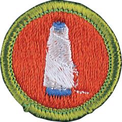 Textile Merit Badge
