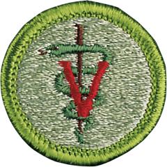Veterinary Medicine Merit Badge