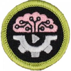 Artificial Intelligence Merit Badge