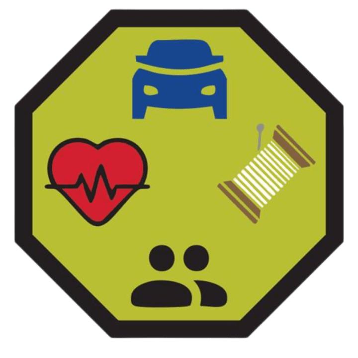 Life Skills Merit Badge