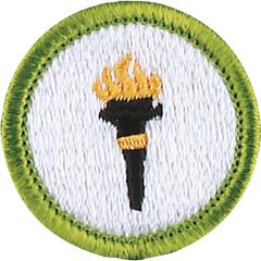 Public Health Merit Badge