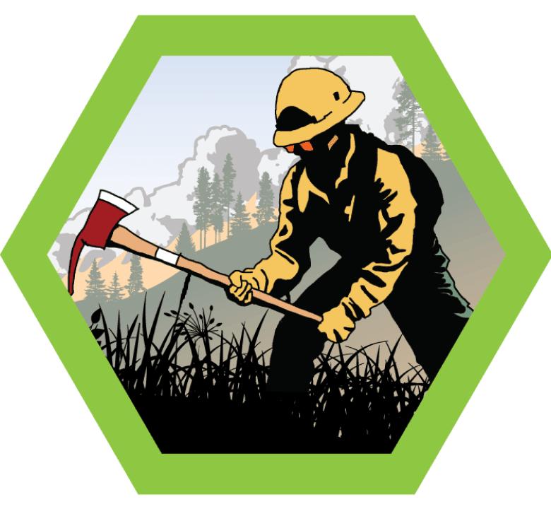 Wildland Fire Management Merit Badge